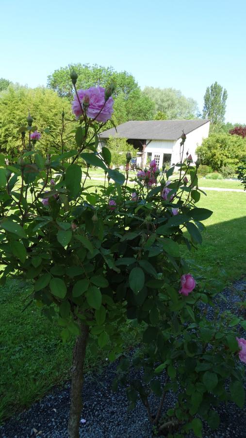 Moulin De Reigner Bed & Breakfast Anche  Luaran gambar